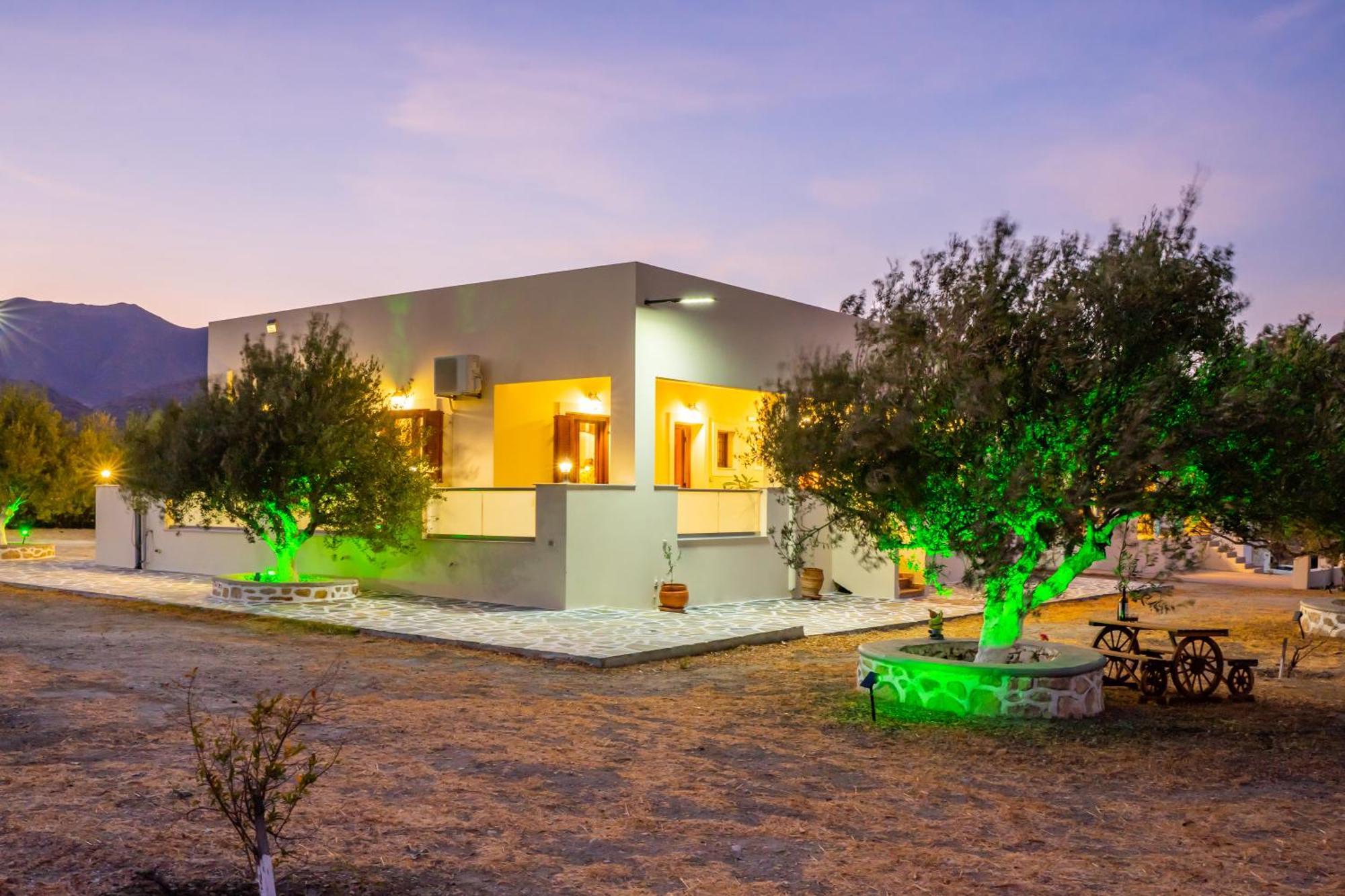 Olive Studios Karpathos Studio #4 Exterior foto